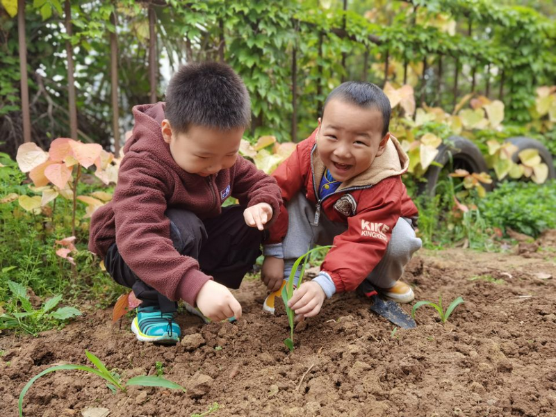 图片4.png 图片4.png