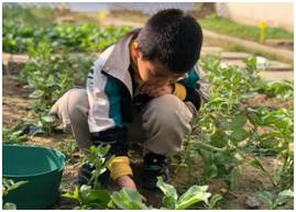 C0X0L{A~PT8ST_MMZAW[94I.png C0X0L{A~PT8ST_MMZAW[94I.png