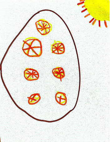 图片25.png 图片25.png