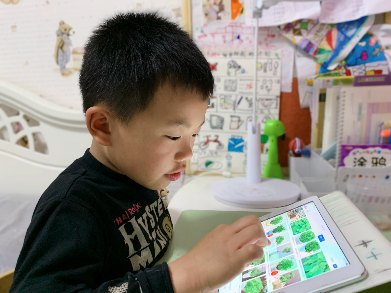图片12.png 图片12.png