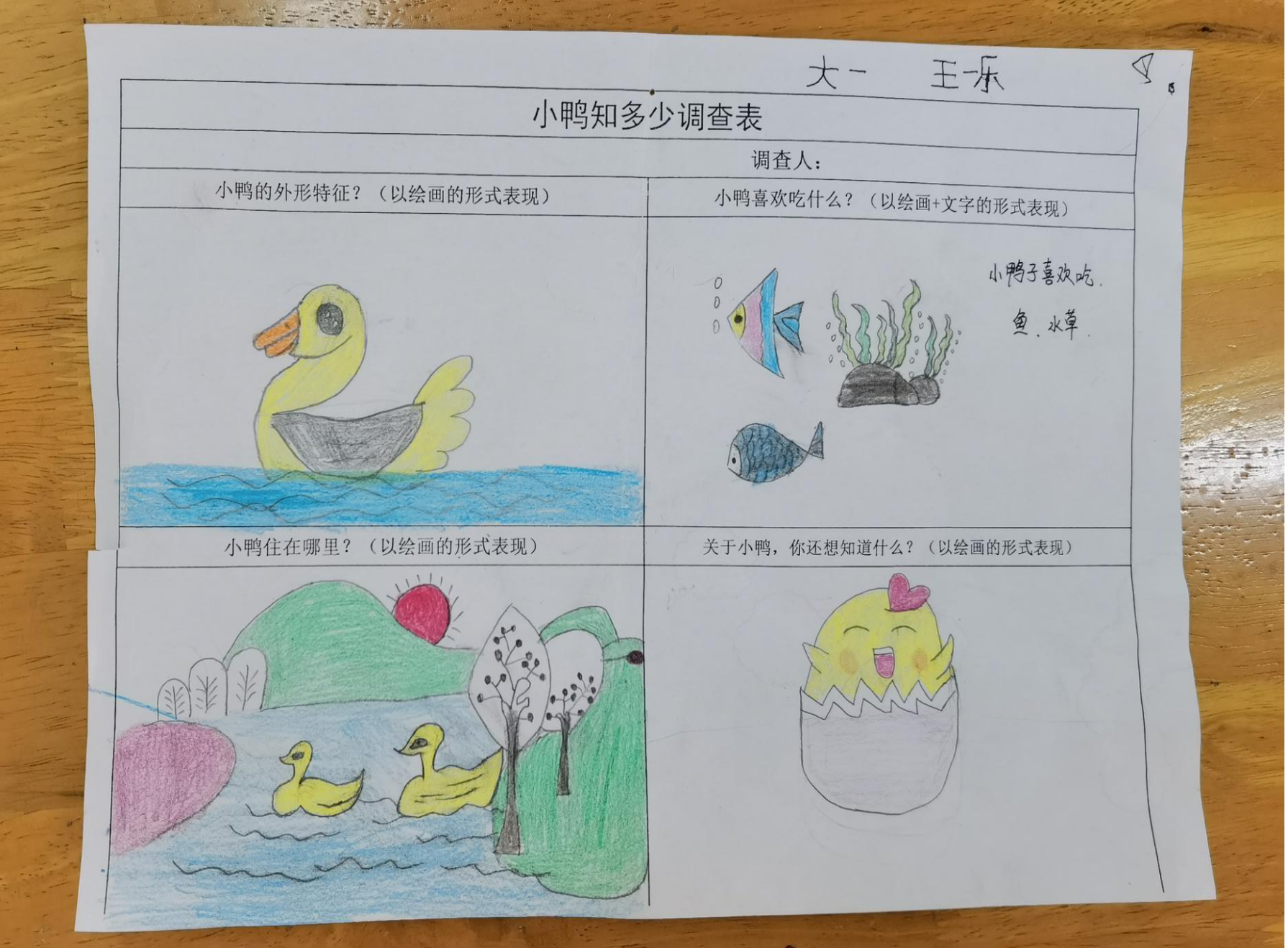 图片11.png