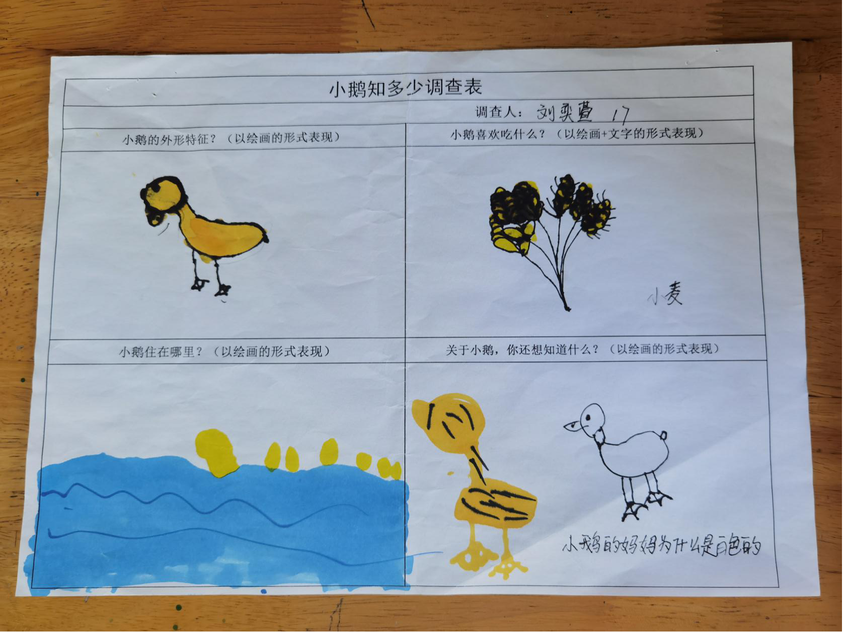 图片12.png