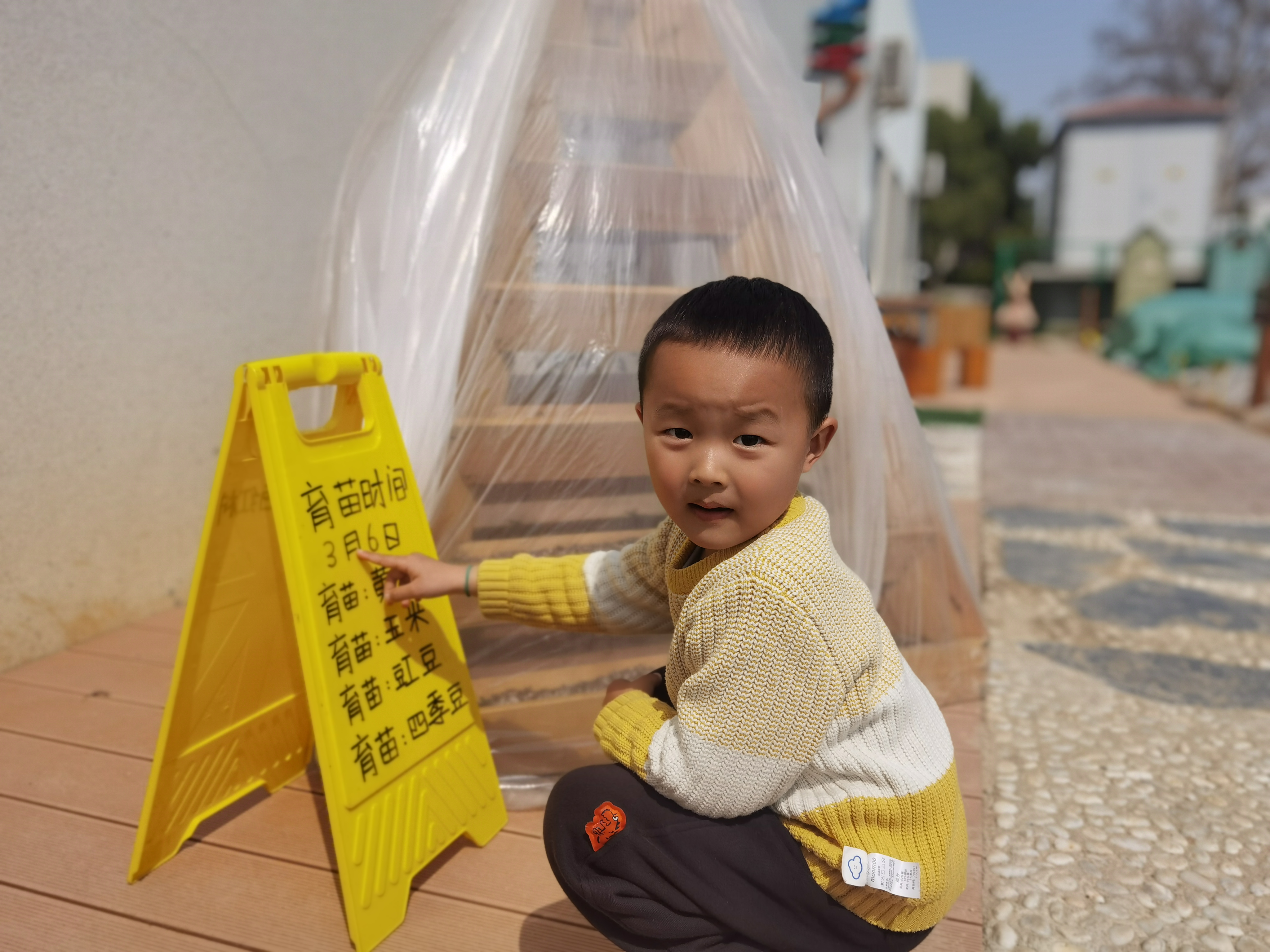 图片 18.png 图片 18.png