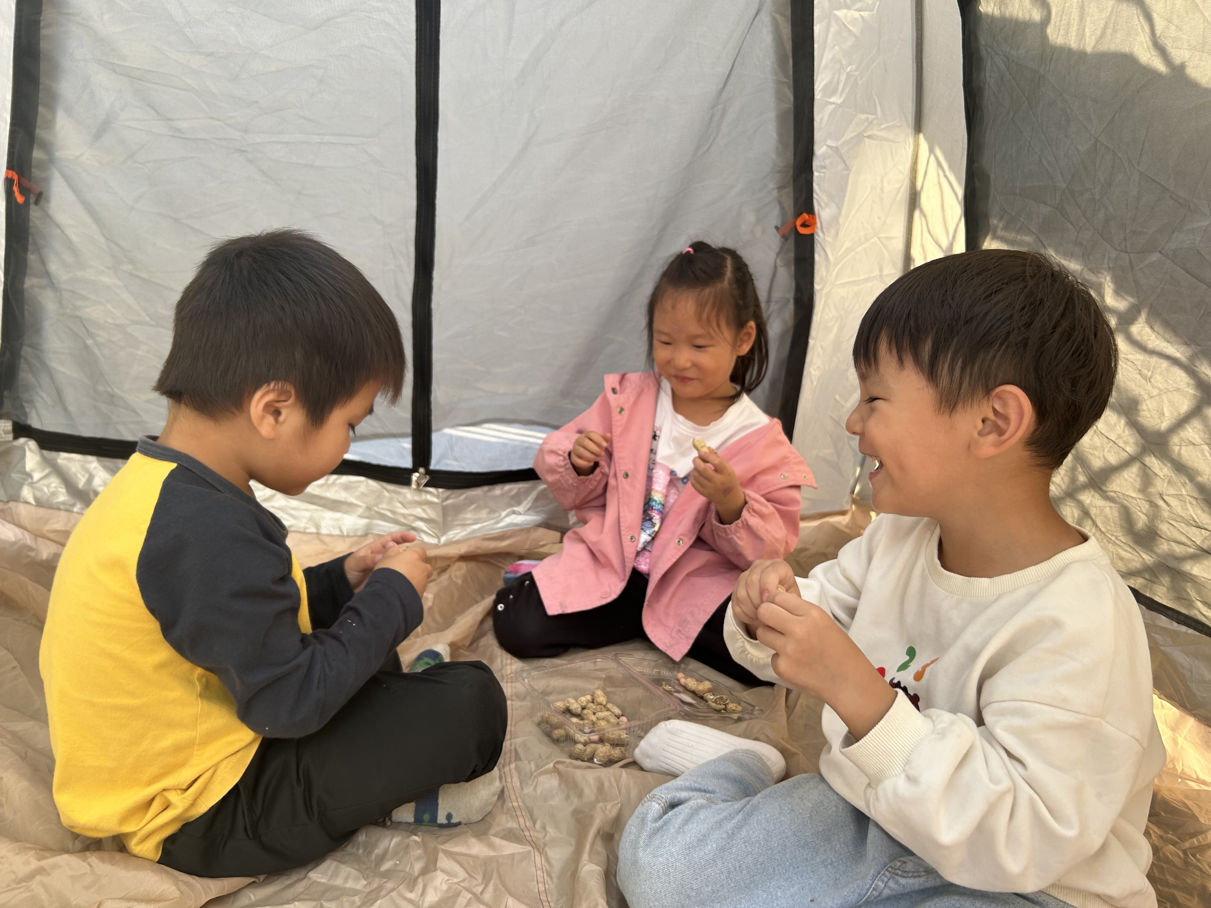 图片47.png 图片47.png