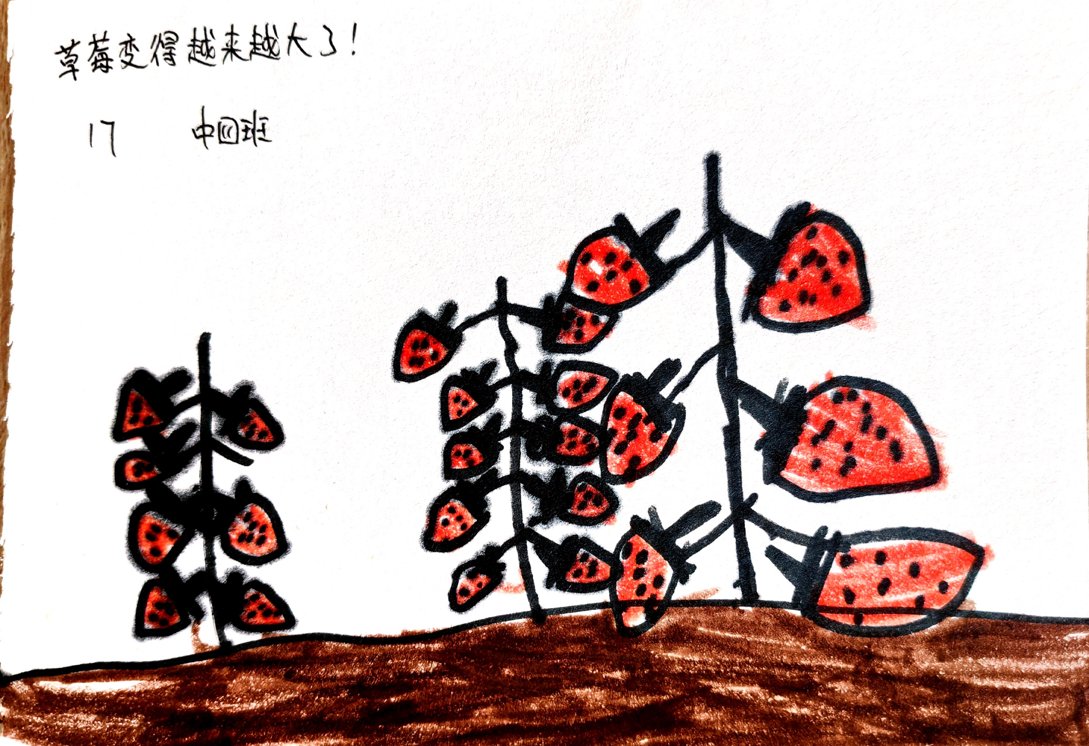图片28.png 图片28.png