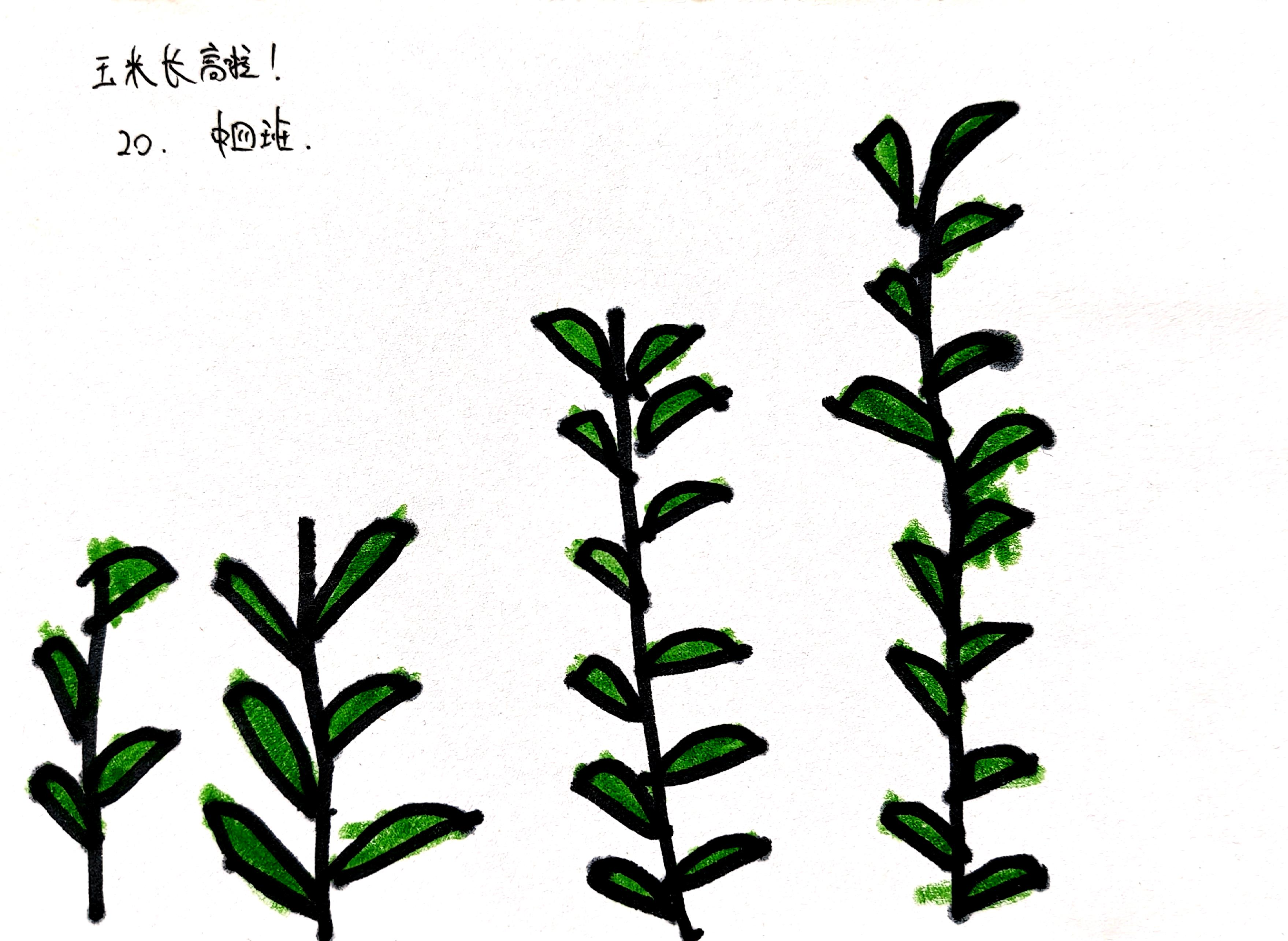 图片29.png 图片29.png