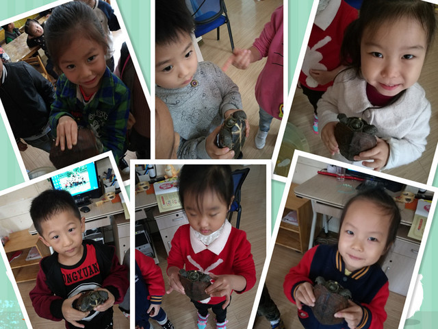 IMG_20161027_151256_副本2.jpg