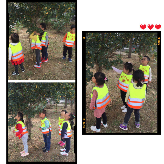 IMG_3493.JPG IMG_3493.JPG