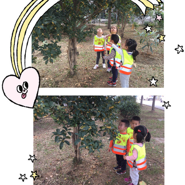 IMG_3492.JPG IMG_3492.JPG